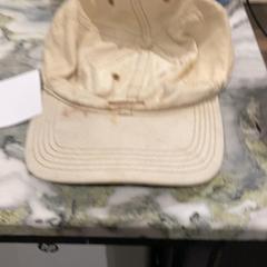 Dierenmand, zoals gemeld door Van der Valk Hotel Heerlen met iLost