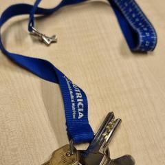 Klucze aan een koord, zgłoszono przez Haaglanden Medisch Centrum przy użyciu iLost