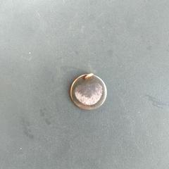 Medaillon, gerapporteerd met iLost