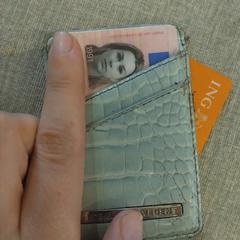 Portemonnee, como reportado ao iLost