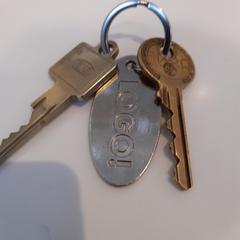 Sleutels, segons ha informat Arriva Limburg Zuid mitjançant iLost