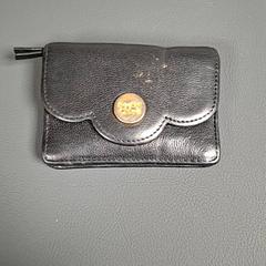 Carteira, como reportado por Connexxion Amstelland-Meerlanden Amstelveen utilizando o iLost