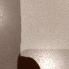 Souvenir, segundo informou De Efteling usando iLost