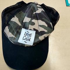 Kleidung Pet, gemeldet von Regio Limburg - Leuven über iLost