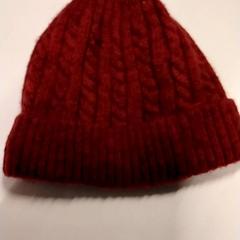 Beanie, ako bolo nahlásené Gemeente Puurs-Sint-Amands pomocou iLost