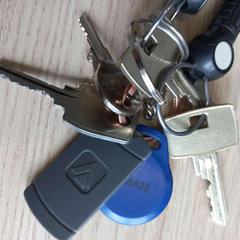 Clé, a été signalé par Arriva West-Brabant utilisant iLost