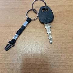 Clé Zwarte, a été signalé par Gemeente Roermond utilisant iLost