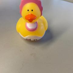 Juguete, ha sido reportado por Burgers' Zoo con iLost