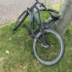 Fiets, come riportato a iLost