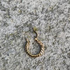 oorbel goudkleurig, iLost에 보고됨