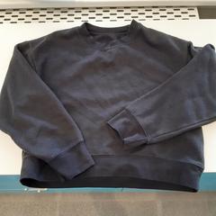 Trui Zwart, segons ha informat Arriva Limburg Zuid mitjançant iLost