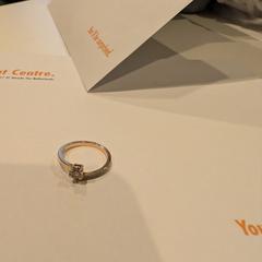 Prsten, jak nahlášeno Inntel Hotels Utrecht Centre pomocí iLost