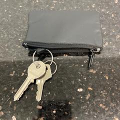 Keys, as reported by Hertz using iLost