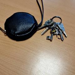 키체인 In een zwart hoesje, iLost를 사용하여 Gemeente Roermond에 보고됨