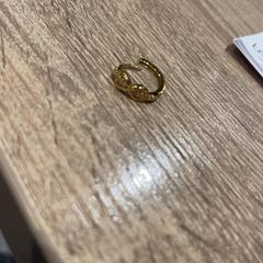 Ohrring, gemeldet von Van der Valk Hotel Apeldoorn - De Cantharel über iLost