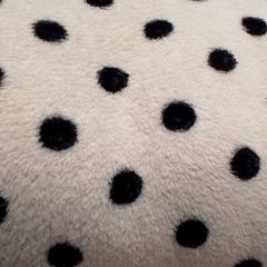 毛布 がiLostで Qbuzz Fryslân によって報告されました