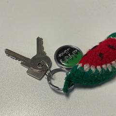 Nøkkelring Gebreide watermeloen, som rapportert av Breng Arnhem ved bruk av iLost