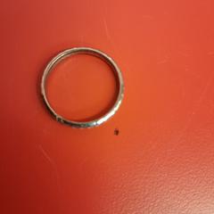 Ring, segundo informou UvA REC usando iLost