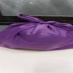 Bag paars, as reported by Arriva Limburg Zuid using iLost