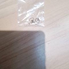 Piercing, come riportato da Beekse Bergen Resorts en Hotel utilizzando iLost