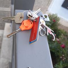 Sleutelbos, segons s'ha informat a iLost