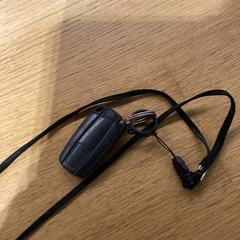 Sleutels Autosleutel, zwart, gemeldet von Stad Hasselt über iLost