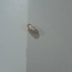 الخاتم Goud، كما تم الإبلاغ عنه بواسطة Van der Valk Hotel Schiphol عبر iLost