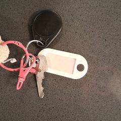 Key, as reported by Breng Nijmegen using iLost