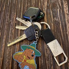 Sleutels, segundo informou a iLost