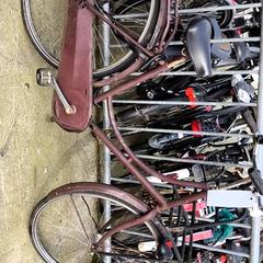 Bicicleta de mujer, ha sido reportado por Stadswerk072 con iLost