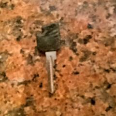 Sleutel Zwart, zoals gemeld door Pathé Nijmegen met iLost