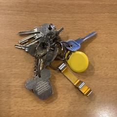 Schlüssel, gemeldet von Gemeente Amsterdam über iLost