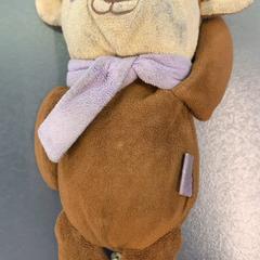 Knuffel, as reported by Eindhoven Airport using iLost