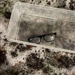 Multifocale bril, as reported to iLost