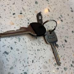 Sleutelbos, come riportato a iLost