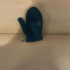 Guantes, ha sido reportado por Familie Resort Molenwaard con iLost