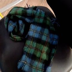 Schal, gemeldet von IKEA Nantes über iLost