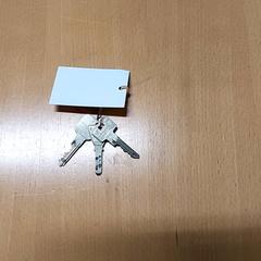 Sleutelbos, zoals gemeld door Regio Limburg - Leuven met iLost