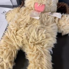 Peluche kusche, ha sido reportado por MEININGER Hotel Dresden Zentrum con iLost