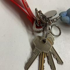 Sleutel, zoals gemeld door HTM met iLost