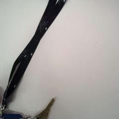 Tour de cou avec clé, ako bolo nahlásené Twisto pomocou iLost