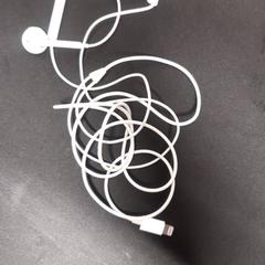 Auriculars sense fil, segons ha informat Grand Hotel Amrath Kurhaus mitjançant iLost