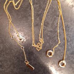 Halskette, gemeldet von Rotterdam The Hague Airport über iLost