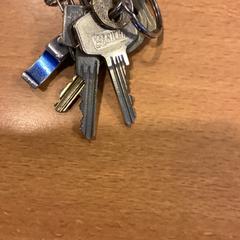 Sleutels, segons ha informat Gemeente Amsterdam mitjançant iLost