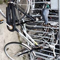 Bicicleta de mujer Gazelle, ha sido reportado por Stadswerk072 con iLost