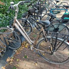 Gazelle damesfiets, som rapportert til iLost