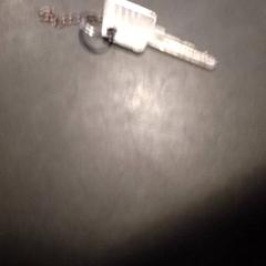 Cykelnyckel Zilverkleurig, rapporterat av TivoliVredenburg med iLost