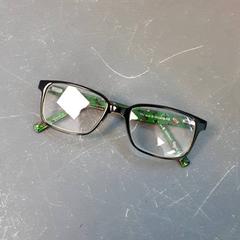Glasses, as reported by Diergaarde Blijdorp using iLost