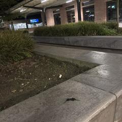 Sleutels, segundo informou a iLost