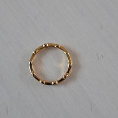 Ring, gemeldet von Madurodam über iLost